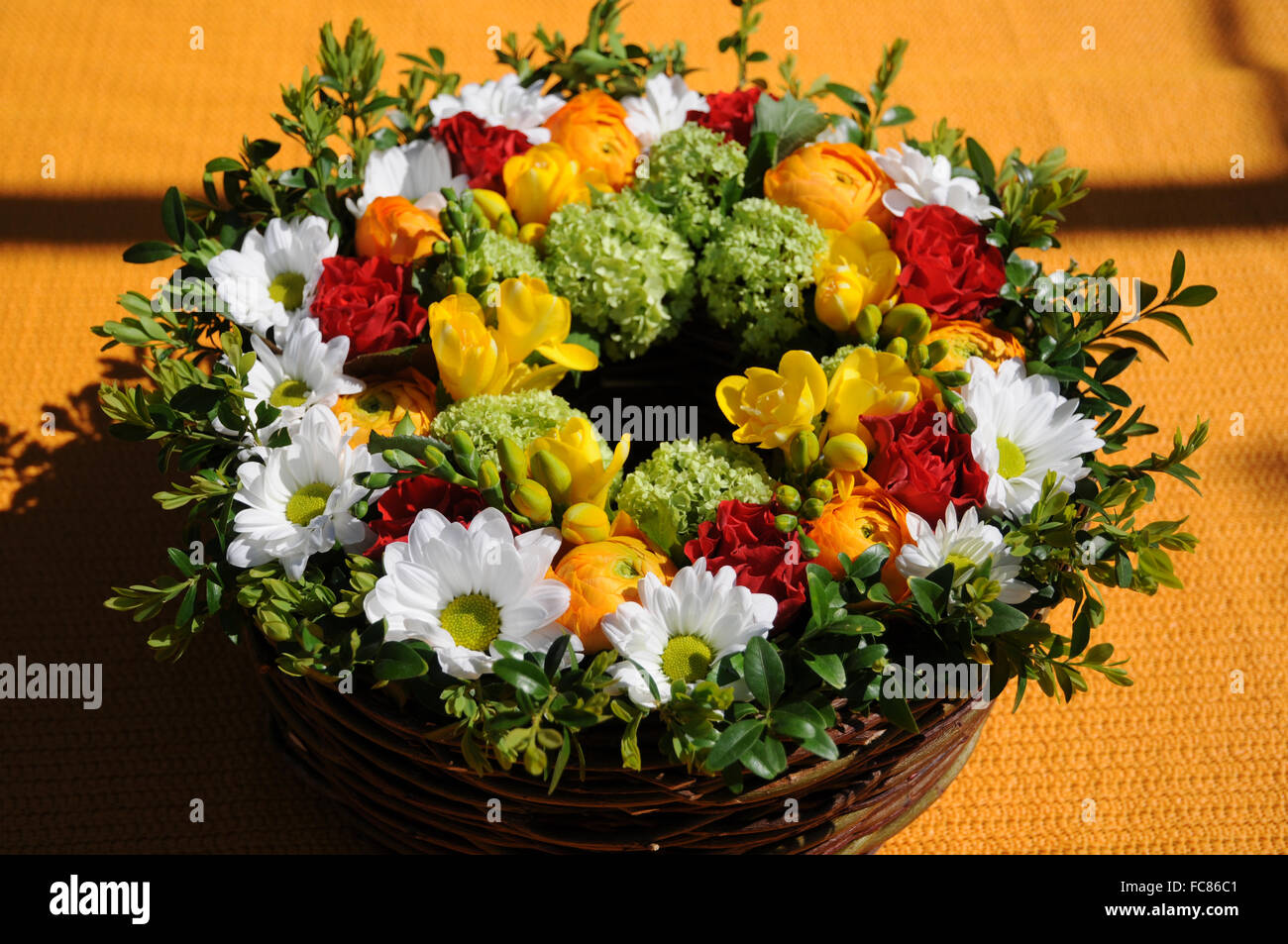 Printemps-Couronne Banque D'Images