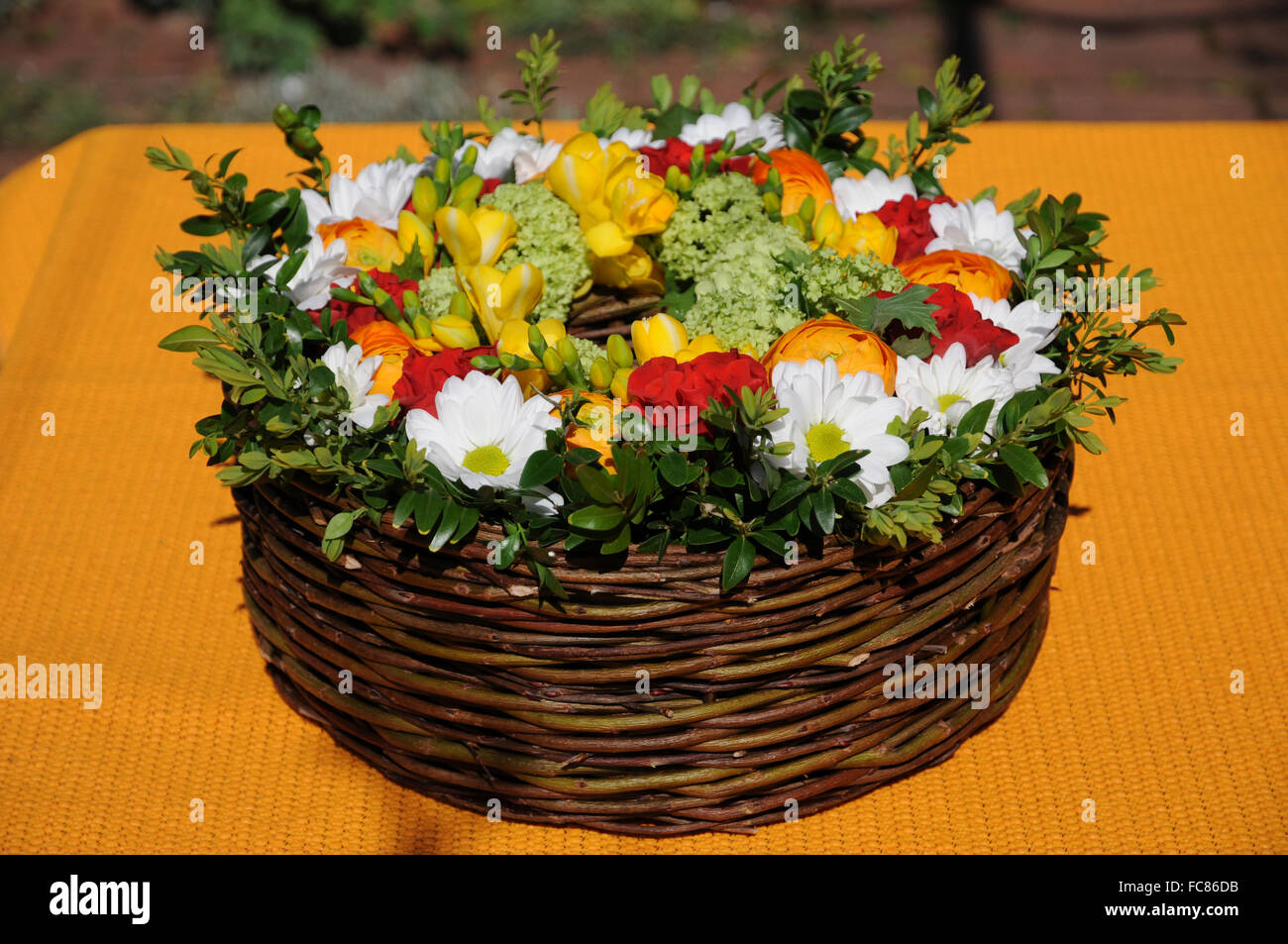 Printemps-Couronne Banque D'Images