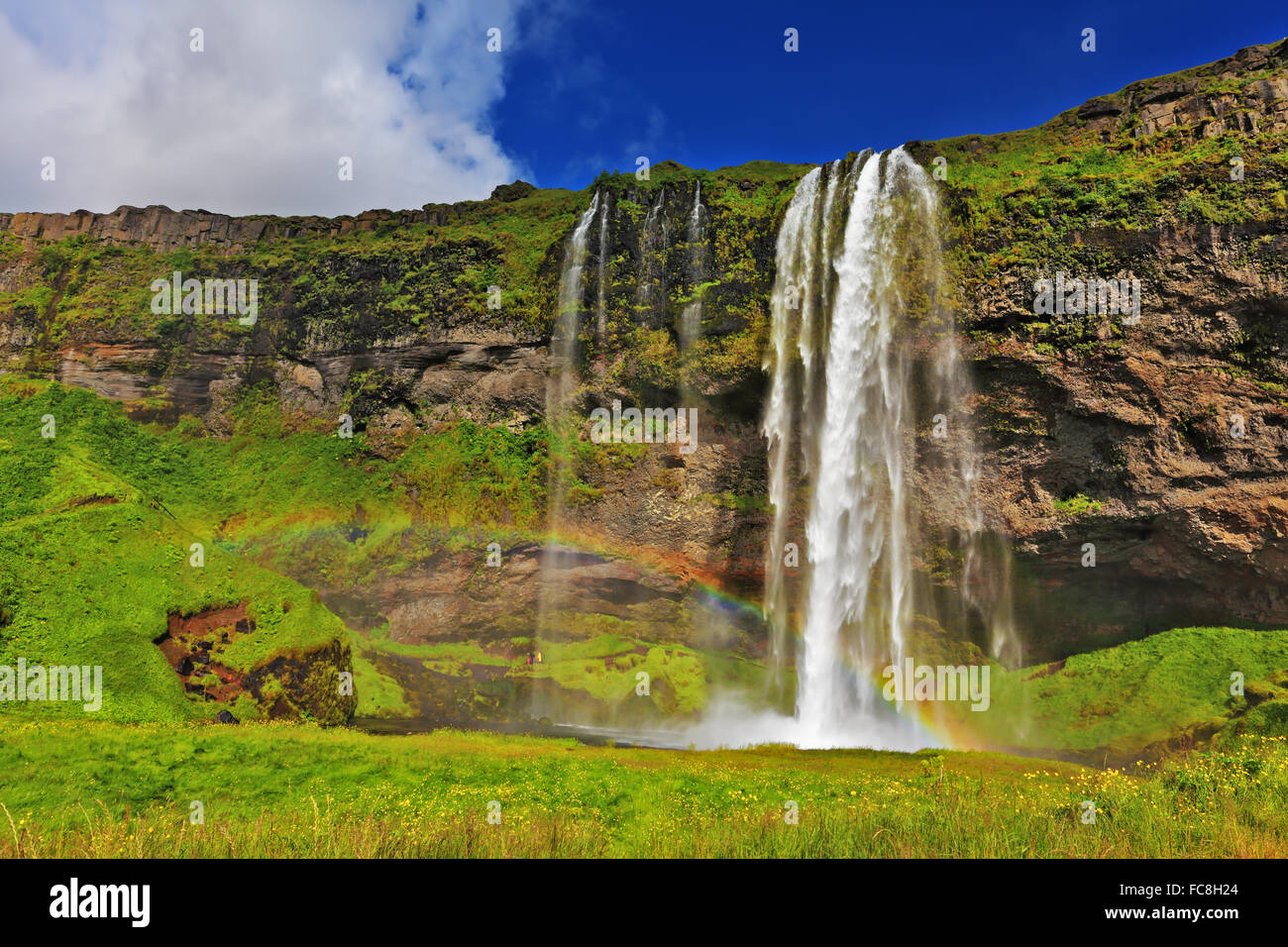 Cascade de Seljalandsfoss Banque D'Images