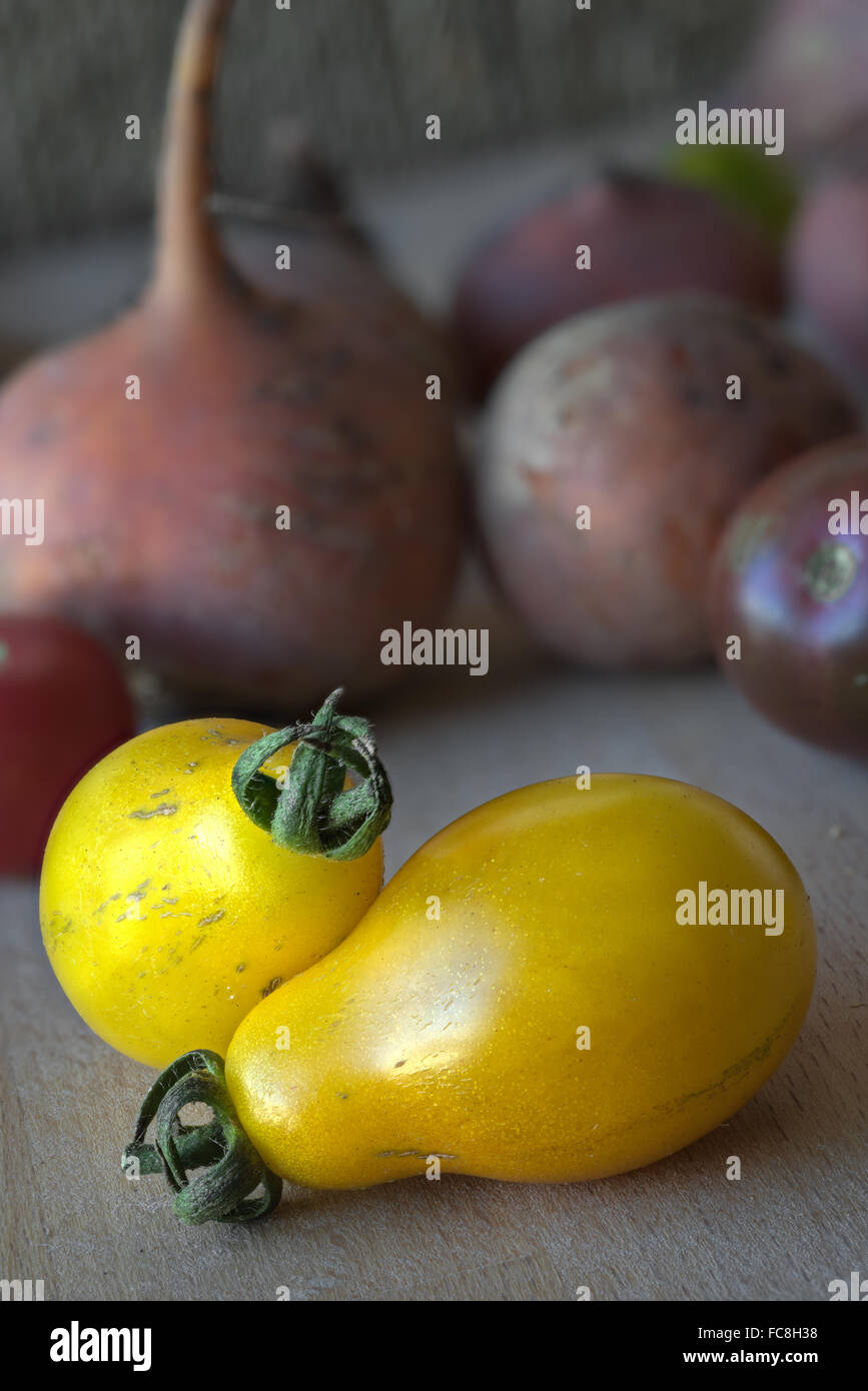 Cultivar de tomate sous-marin jaune Banque D'Images