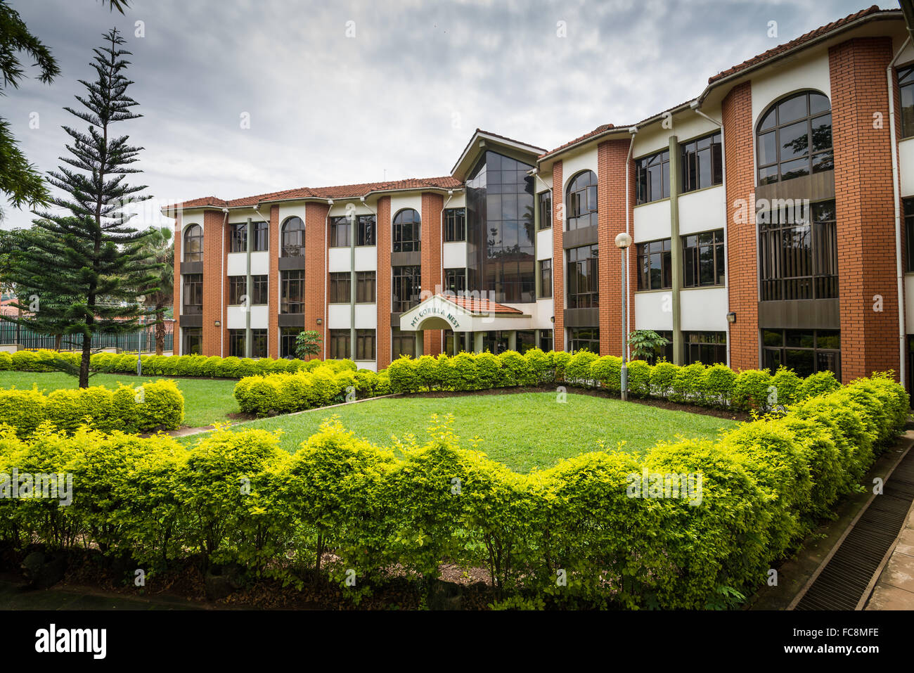 Office de Tourisme des gorilles de montagne, Kampala, Ouganda, Afrique du Sud Banque D'Images