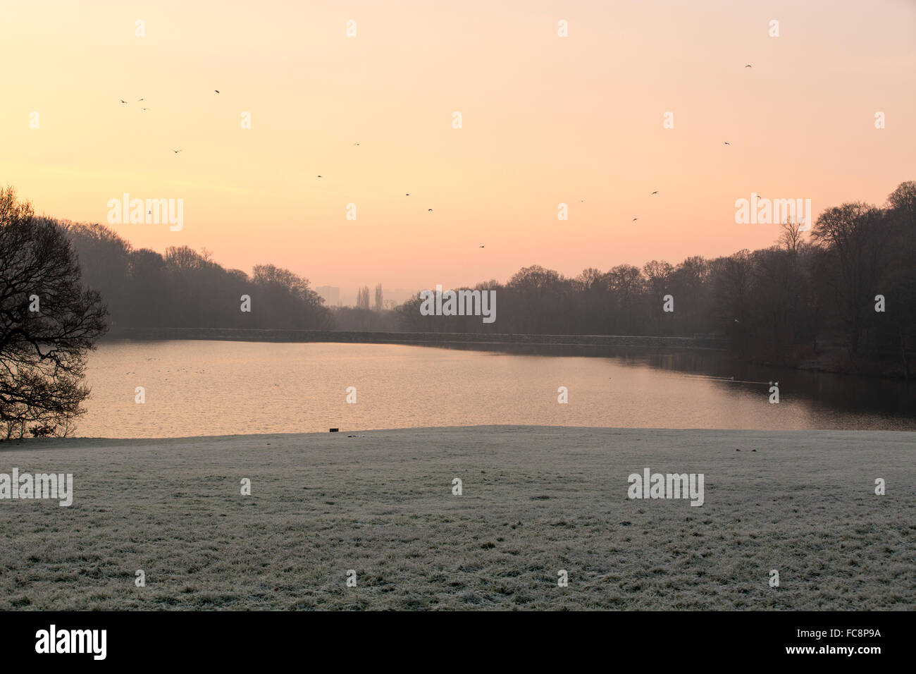 Leeds, UK. 21 janvier, 2016. Météo France : Le soleil se lever plus de Roundhay Park à Londres le 21 janvier 2016. Matin des températures autour de -2 degrés C. Crédit : James Copeland/Alamy Live News Banque D'Images