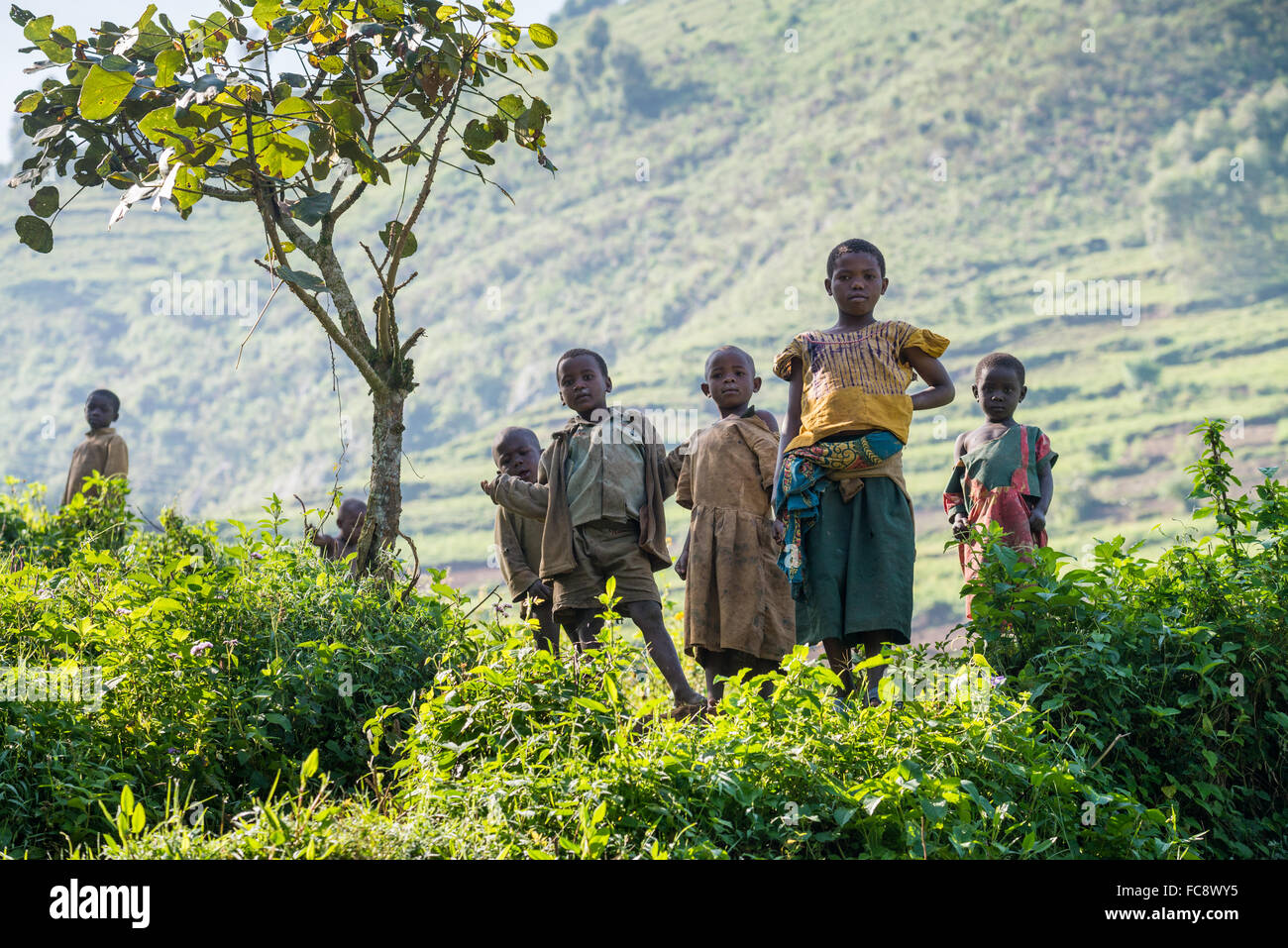 Groupe d'enfants, la forêt impénétrable de Bwindi, en Ouganda, l'Afrique Banque D'Images