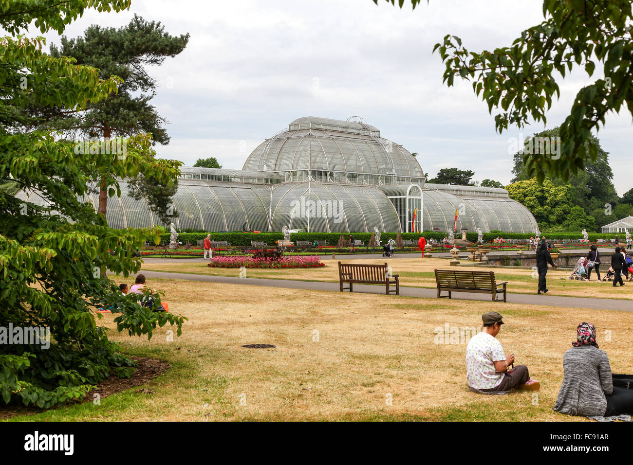 Des gens assis sur la pelouse en été, en face de la Palm House à Kew Gardens Royal Botanical Gardens London England UK Banque D'Images