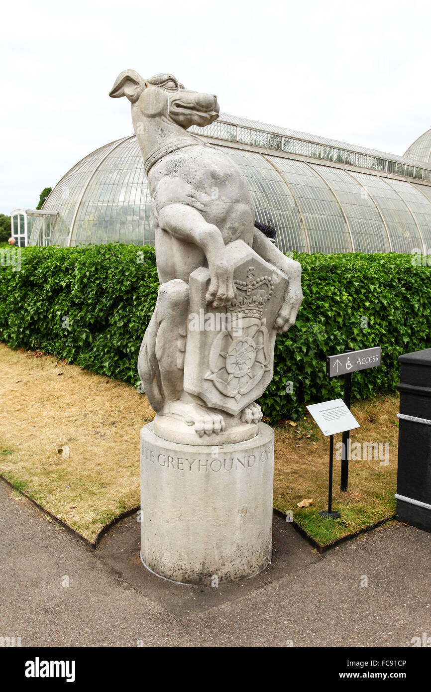 Le Greyhound Blanc de Richmond est l'une des bêtes, la reine des jardins botaniques de Kew Royal Botanical Gardens London England UK Banque D'Images