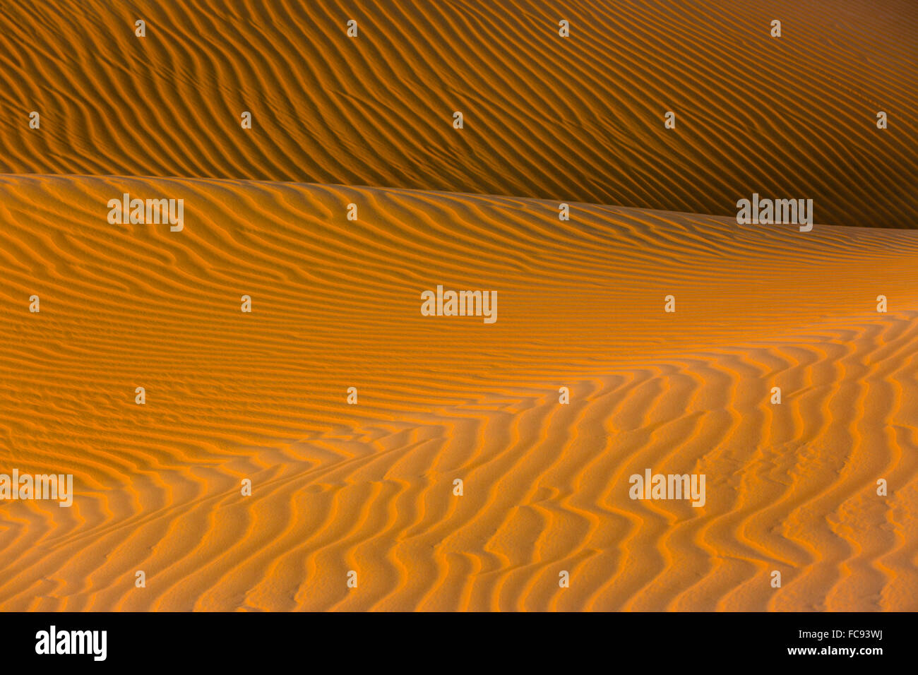 Formes, structures et modèles, l'ombre et la lumière sur les dunes de sable, Rub' al Khali ou quart vide, Emirats Arabes Unis Banque D'Images