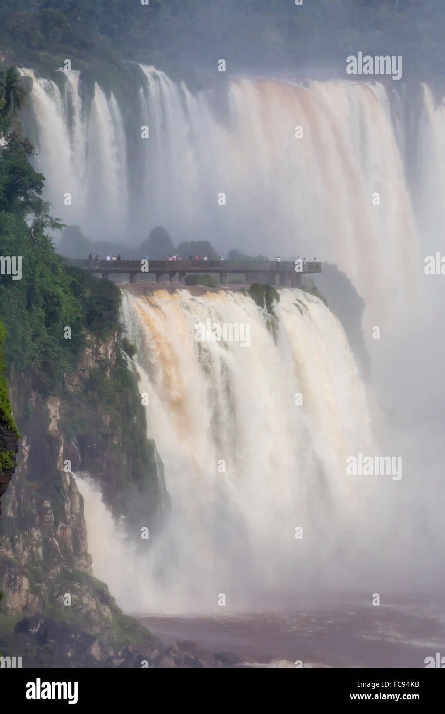 Une vue de la piste supérieure, Iguazu Falls National Park, UNESCO World Heritage Site, Misiones, Argentine, Amérique du Sud Banque D'Images