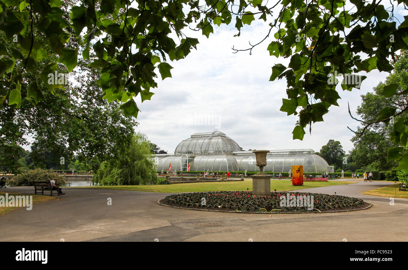 Le Palm House à Kew Gardens Royal Botanical Gardens London England UK Banque D'Images