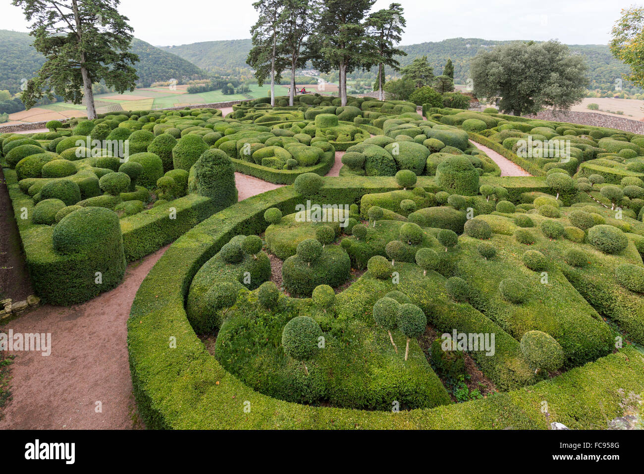 Jardin topiaire à Marqueyssac Château et Jardins, Vezac, Dordogne, France Banque D'Images