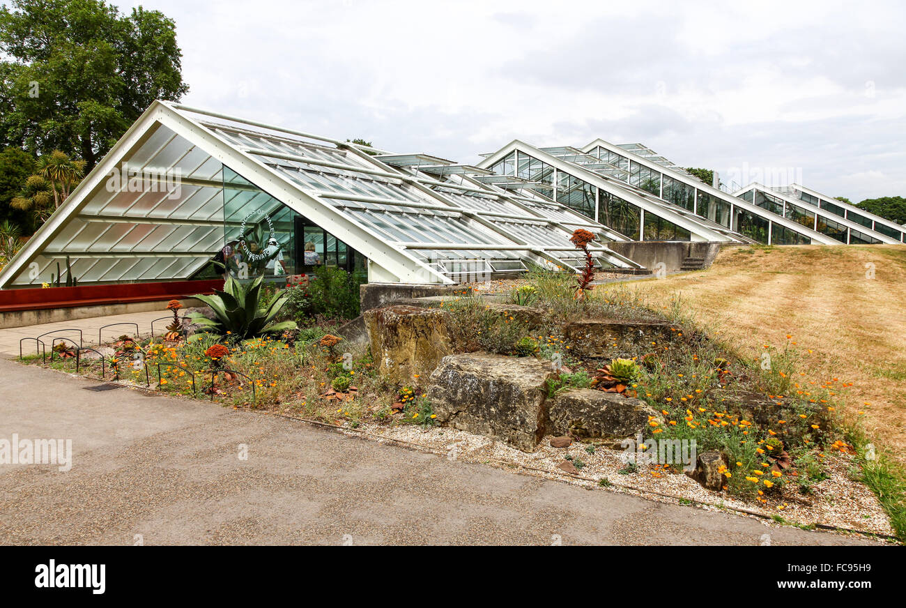 Le Princess of Wales conservatory à Kew Gardens Royal Botanical Gardens London England UK Banque D'Images