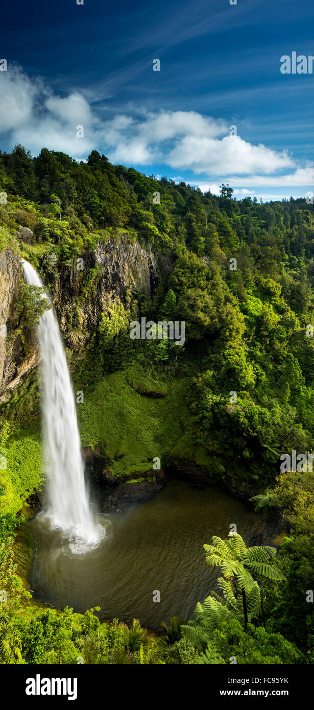 Bridal Veil Falls (Waireinga) près de Raglan, Waikato, île du Nord, Nouvelle-Zélande, Pacifique Banque D'Images