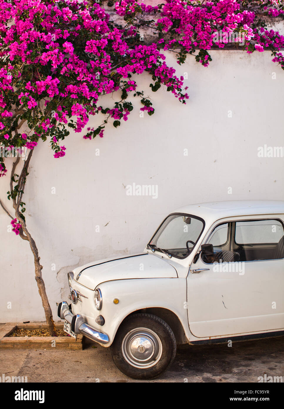 Fiat sous arbre dans Mojacar, Andalousie, Espagne, Europe Banque D'Images