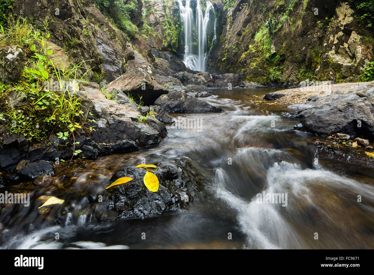 Piroa Falls, Waipu, Northland, île du Nord, Nouvelle-Zélande, Pacifique Banque D'Images