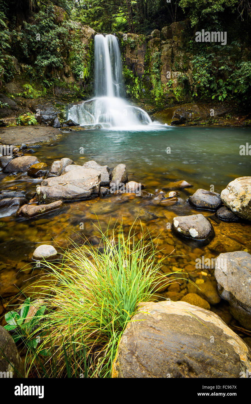 Waiau Falls, péninsule de Coromandel, île du Nord, Nouvelle-Zélande, Pacifique Banque D'Images