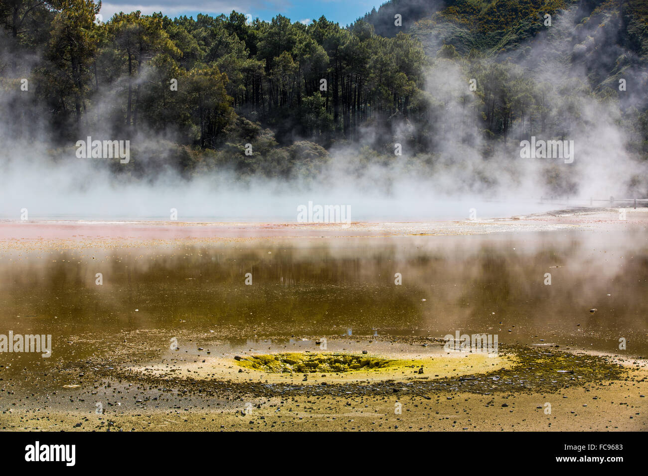 Wai-O-Tapu Thermal Wonderland, Rotorua, île du Nord Nouvelle-zélande, Pacifique Banque D'Images