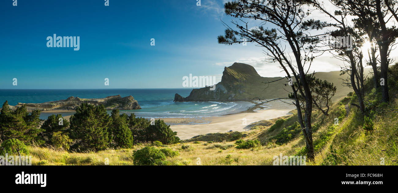 Deliverance Cove, Delémont, région de Wellington, Île du Nord, Nouvelle-Zélande, Pacifique Banque D'Images