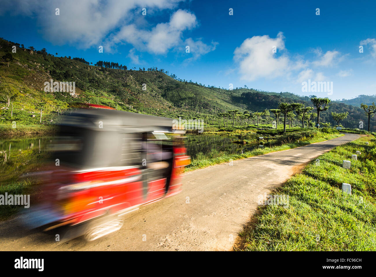 Tuk Tuk rouler dans une plantation de thé près de Haputale, district de Badulla, Province d'Uva, au Sri Lanka, en Asie Banque D'Images