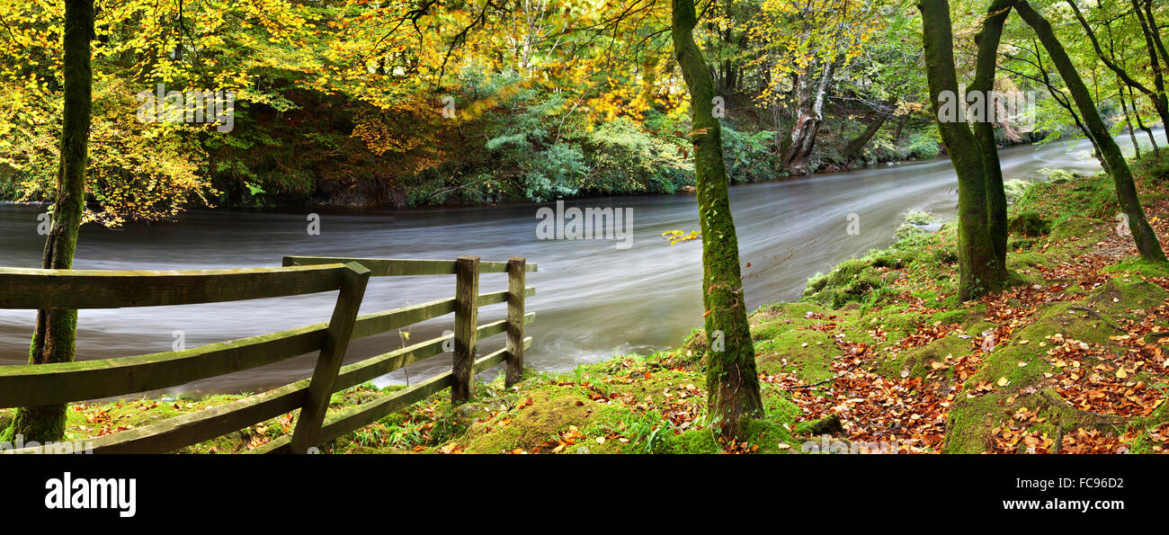 Rivière Dart, Dartmoor National Park, Devon, Angleterre, Royaume-Uni, Europe Banque D'Images