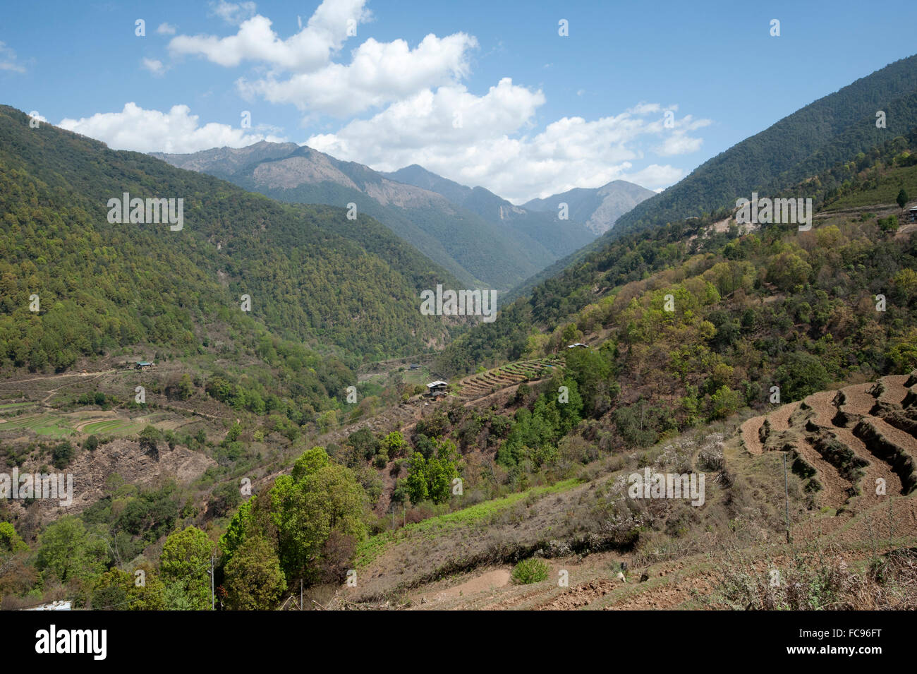 Voir à travers les terres agricoles accrochés aux contreforts de l'Himalaya vers la Chine de Wangdue Phodrang district, le Bhoutan, l'himalaya Banque D'Images