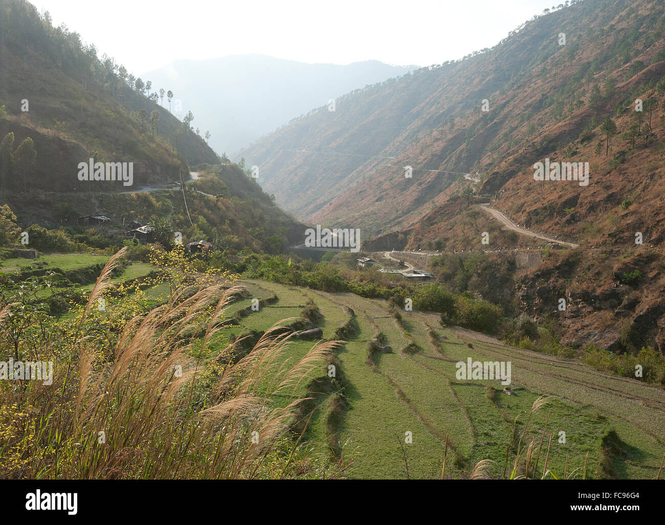 Gamri Chhu rivière qui traverse la vallée de Trashigang passé collines de champs de riz en terrasses, l'Est du Bhoutan, de l'Asie Banque D'Images