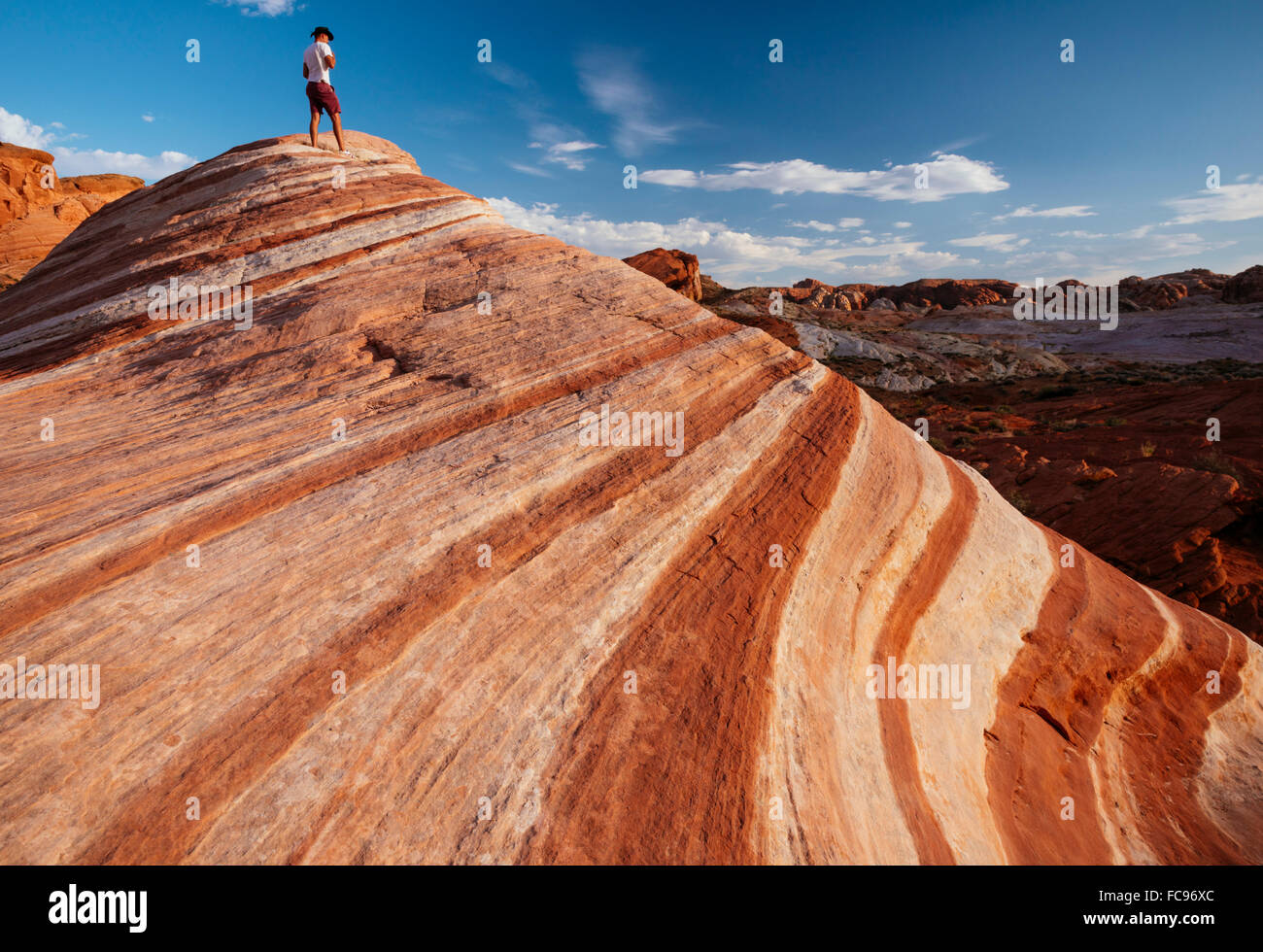 La vague de Feu, Vallée de Feu Park, Nevada, États-Unis d'Amérique, Amérique du Nord Banque D'Images