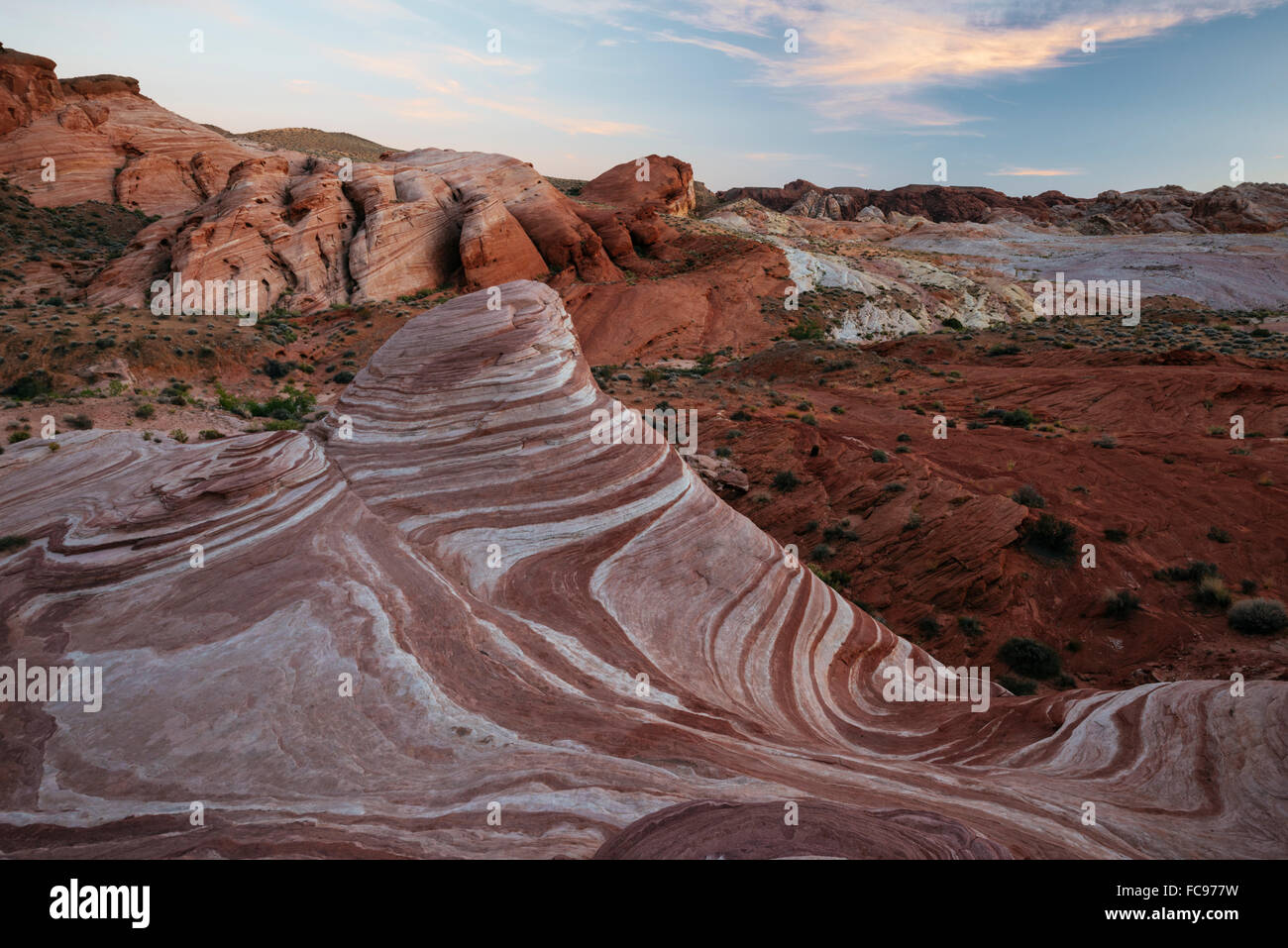 La vague de Feu, Vallée de Feu Park, Nevada, États-Unis d'Amérique, Amérique du Nord Banque D'Images