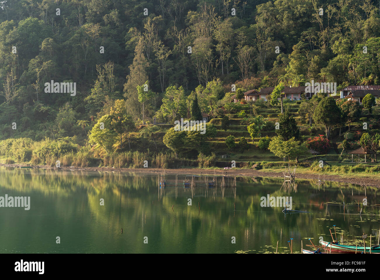 Sur les rives du lac Bratan, Bedugul, Bali, Indonésie Banque D'Images