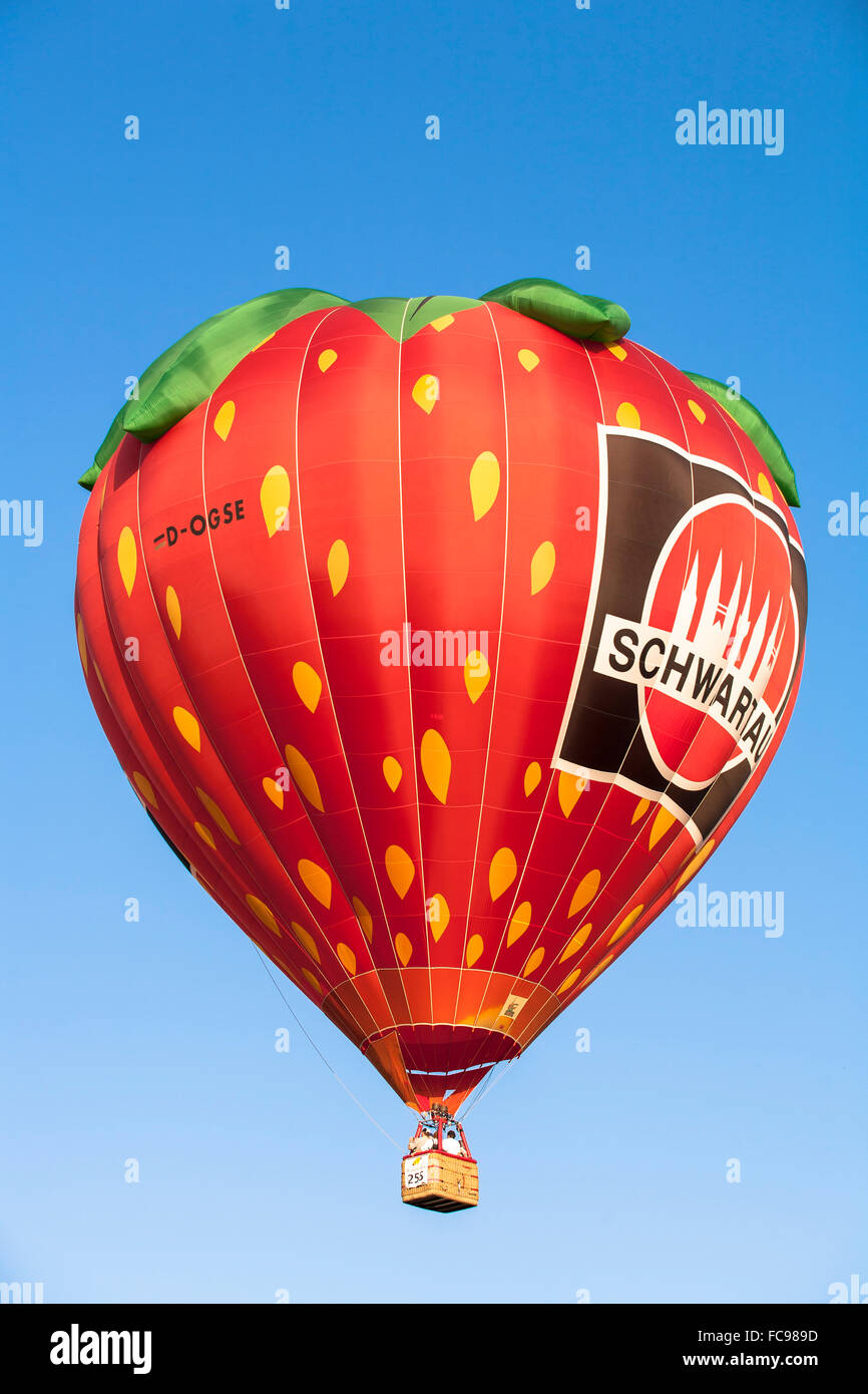 DEU, l'Allemagne, région du Sauerland, Warstein, International de montgolfières à Warstein, ballon de la société Schwartau dans le sh Banque D'Images