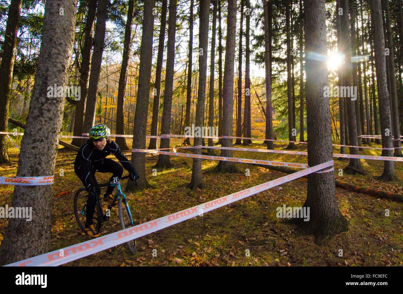 Un cycliste huffs et bouffées son chemin à travers un réseau de forêts automnales entrelacés. Banque D'Images