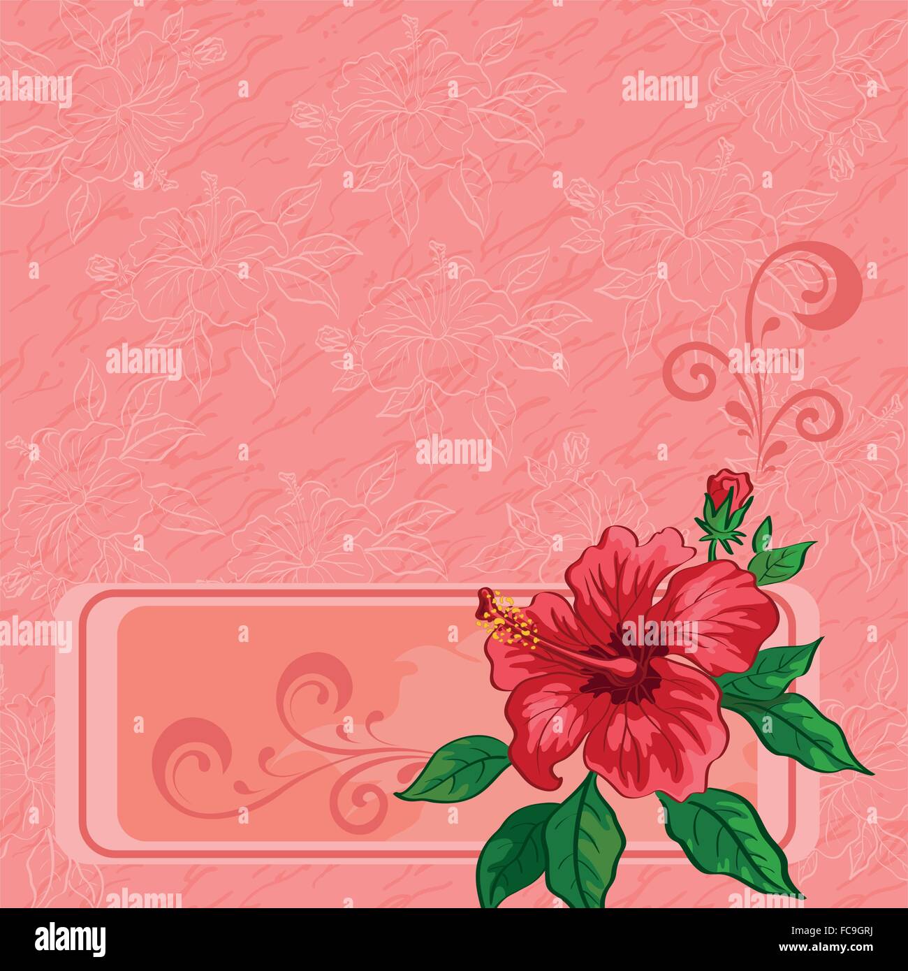 Floral background, hibiscus et des contours Illustration de Vecteur