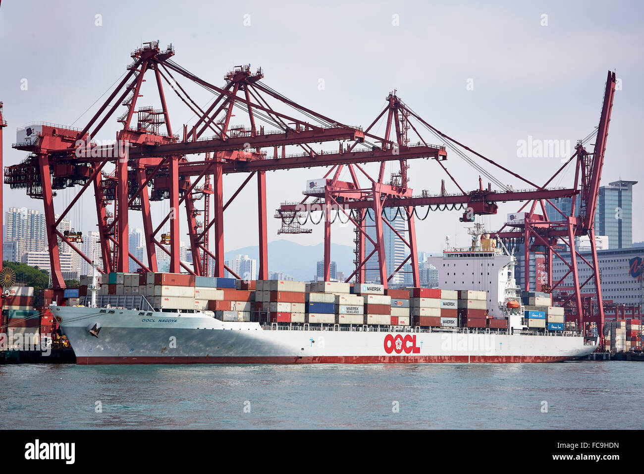 Une section de Tsing Yi container terminal avec un porte-conteneurs d'être chargés ou déchargés. Banque D'Images