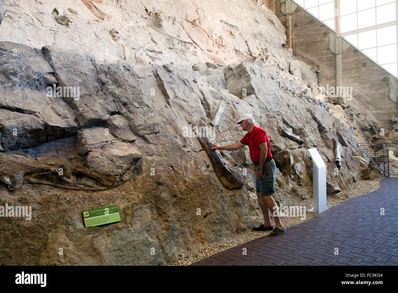 Dinosaur National Monument Banque D'Images