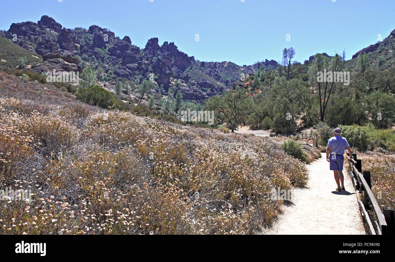 Pinnacles National Park Banque D'Images