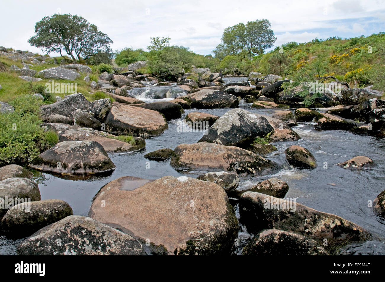 Le Nord de la rivière Teign dégringole au large de Chagford, Dartmoor, commune proche de Scorhilll vers le bas Banque D'Images