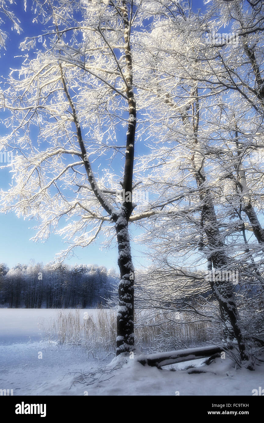 L'hiver à Liepnitzsee Banque D'Images