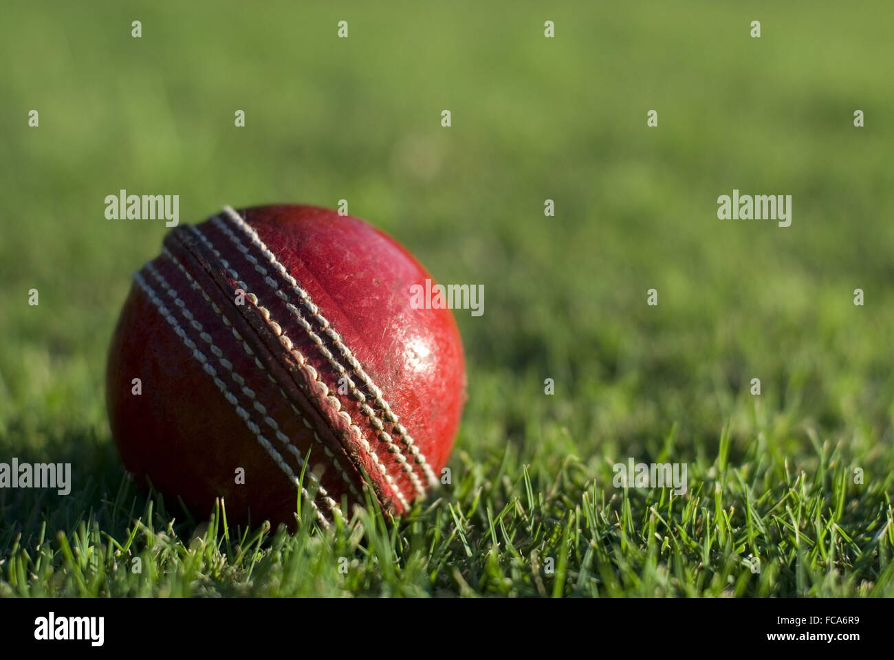 Cricket ball rouge sur l'herbe verte Banque D'Images