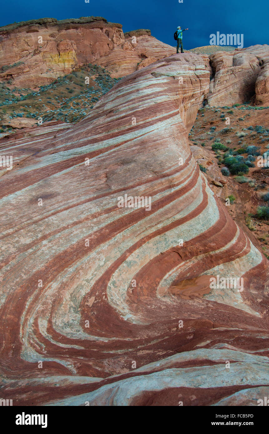 Les nuages menaçants sombres glissent les stries de Red Rock Valley of Fire State Park. Banque D'Images