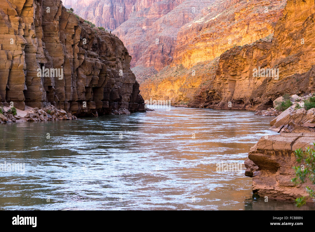 Grand Canyon Colorado River Banque D'Images