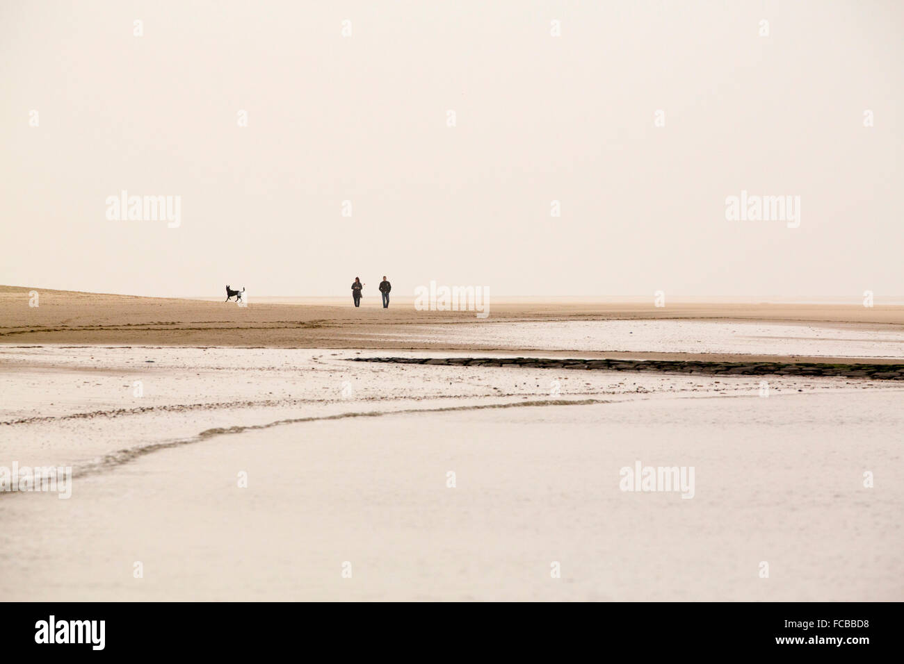 Pays-bas, Renesse, Couple walking on beach with dog Banque D'Images