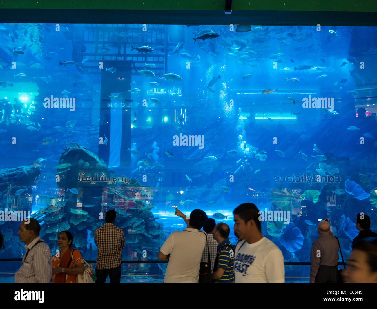 Dubai Mall - shoppers en face de l'attraction de l'aquarium. Banque D'Images