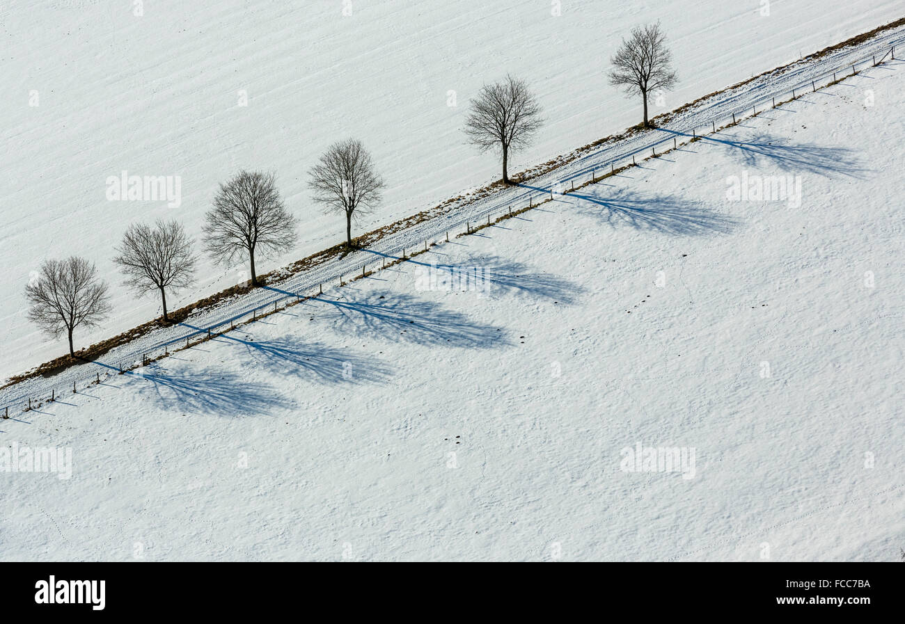 Vue aérienne, avenue Altenbüren dans la neige près de Hüttenstraße, droit, diagonal, motif géométrique, hiver, neige, Banque D'Images