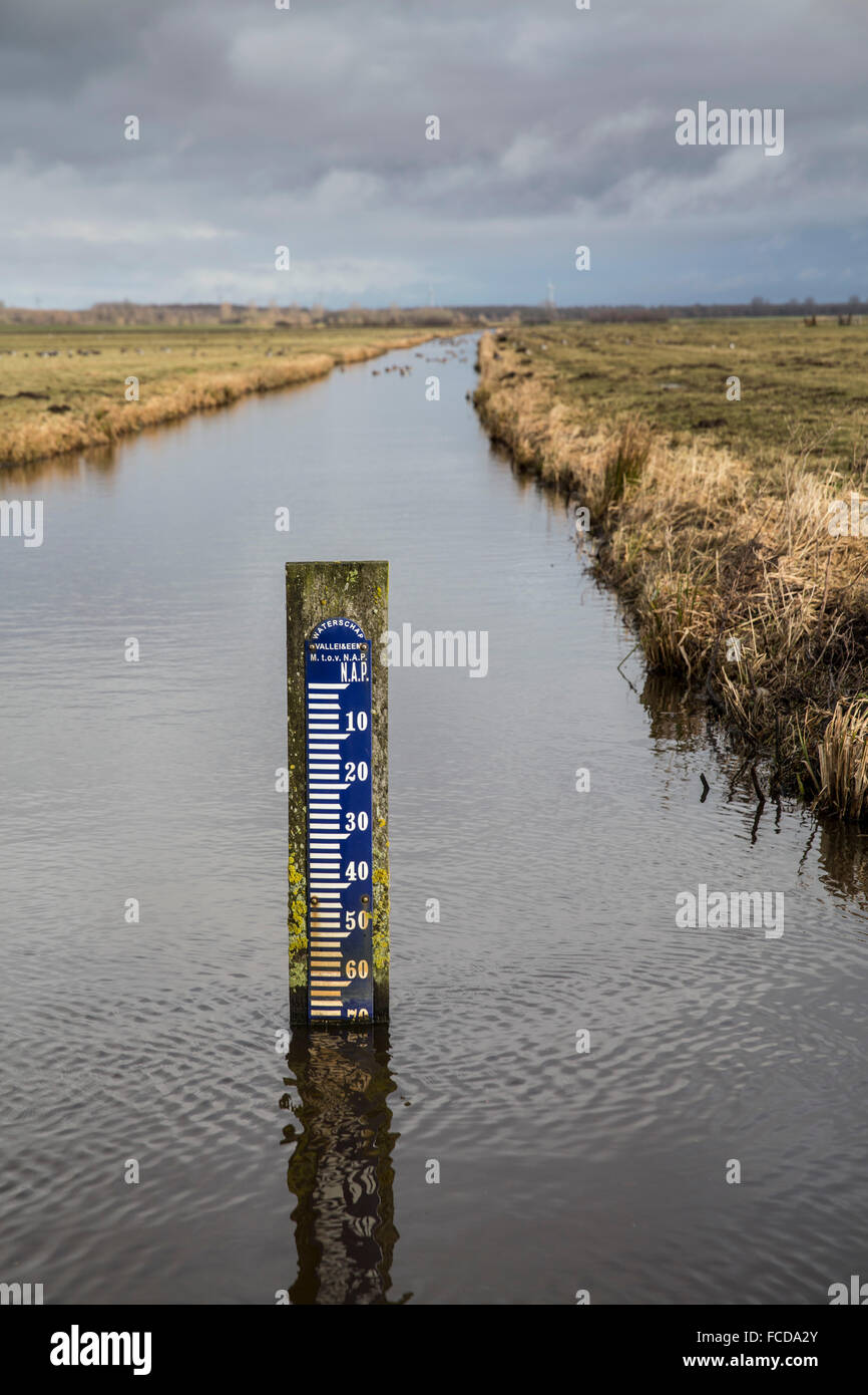 Pays-bas, de Nijkerk, Polder Arkemheen, indicateur de niveau d'eau, altimètre Banque D'Images