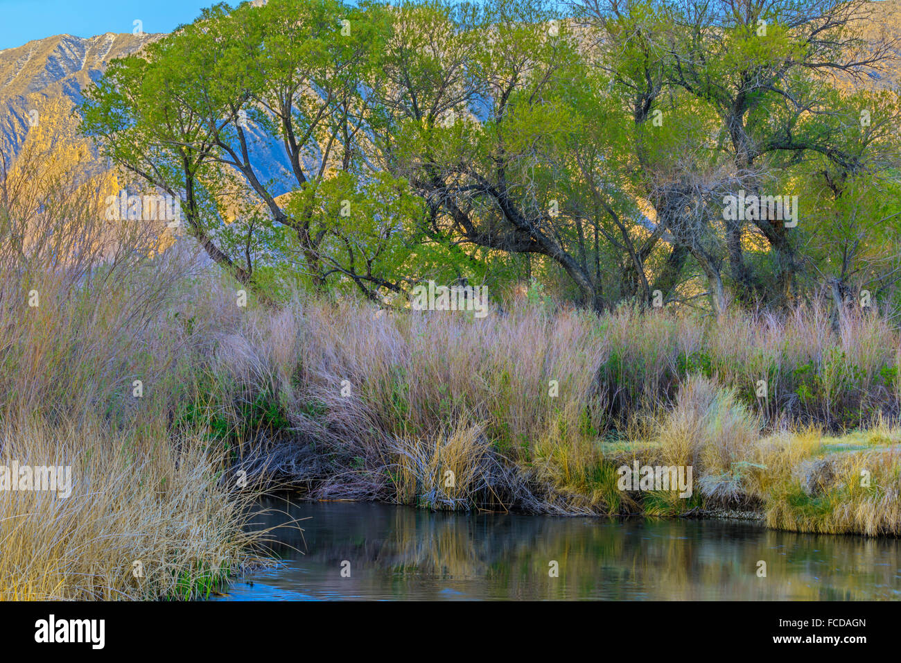Owens River et plage de Sierra Nevada, en Californie, au lever du soleil Banque D'Images