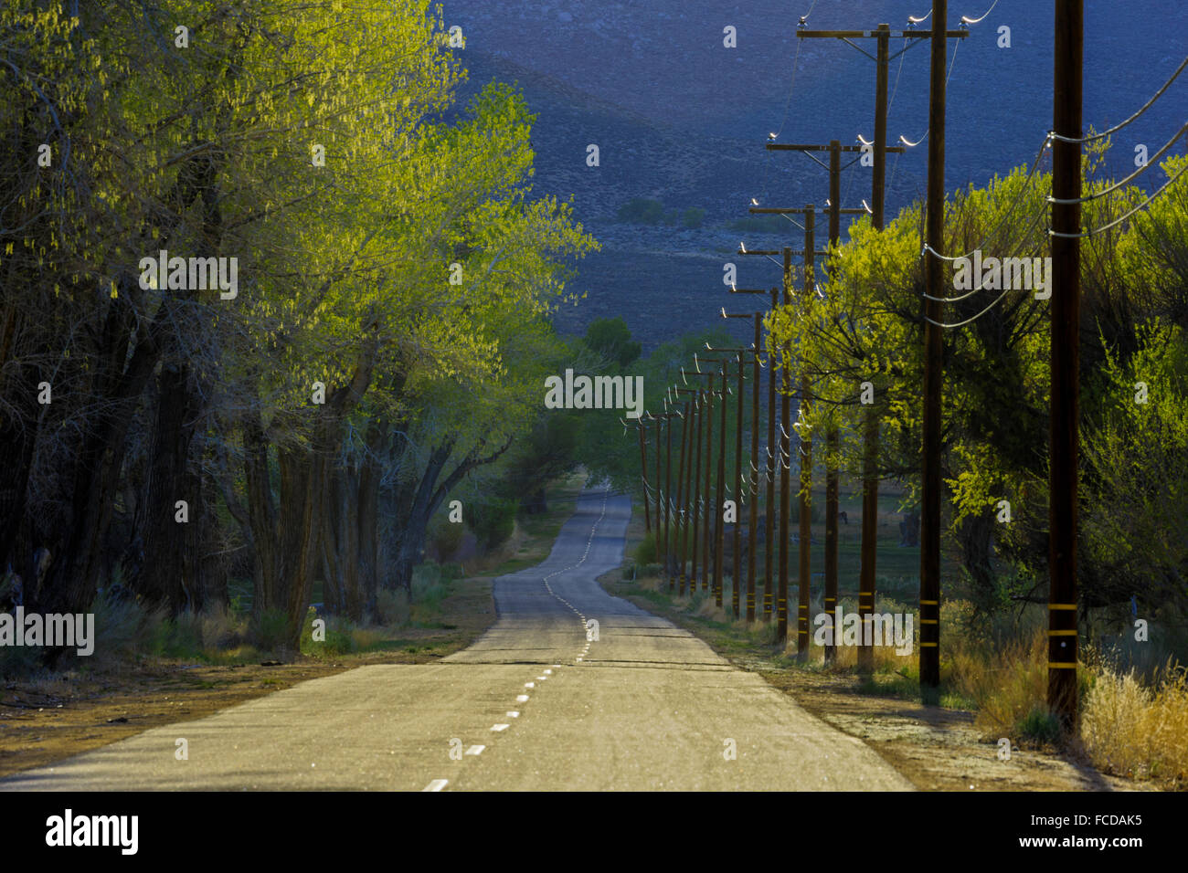 Californie, USA, Owens Valley Banque D'Images