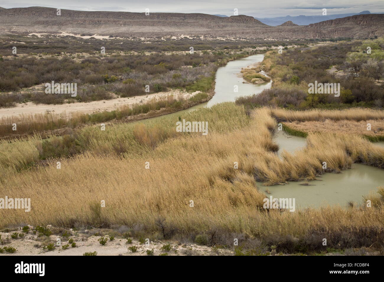 Rio Grande à Rio Grande Village, Big Bend National Park, Texas - la frontière entre les États-Unis (à droite) et le Mexique. Banque D'Images