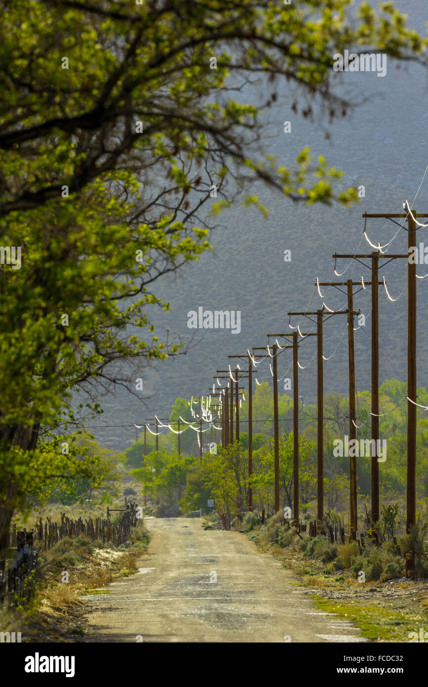 Country road in Owens Valley, Californie Banque D'Images