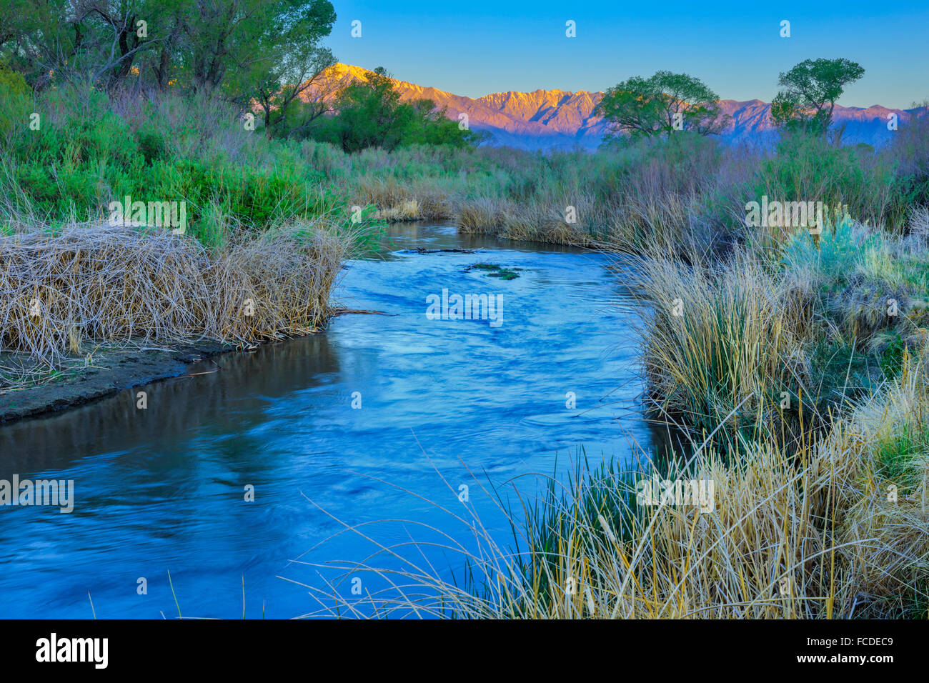 Owens River et plage de Sierra Nevada, en Californie, au lever du soleil Banque D'Images
