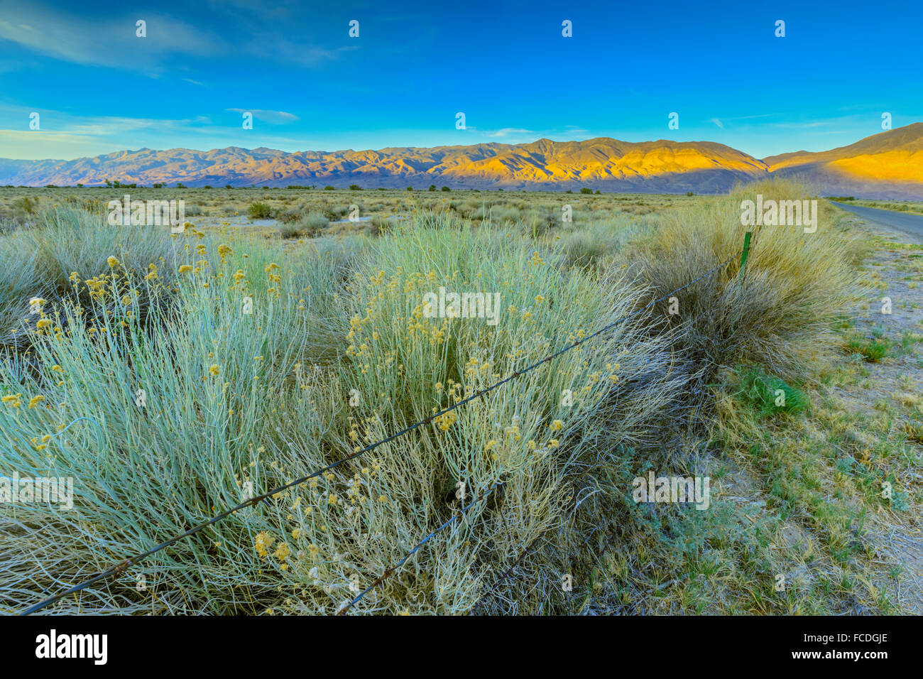 Owens Valley et la Sierra Nevada, en Californie, au coucher du soleil Plage Banque D'Images
