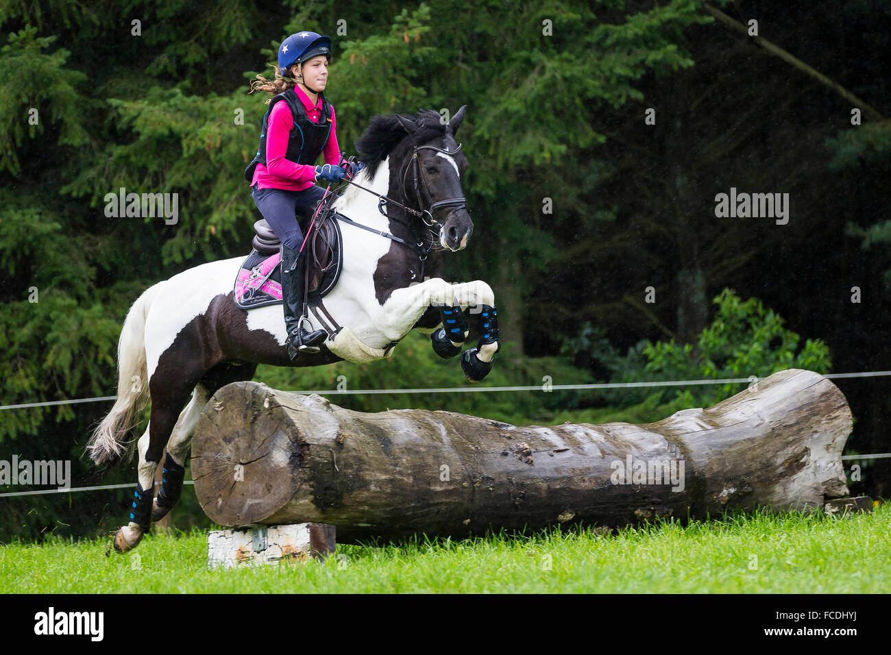 Poney Pinto. Fille sur un poney book la négociation d'un obstacle lors d'une ride. Allemagne Banque D'Images