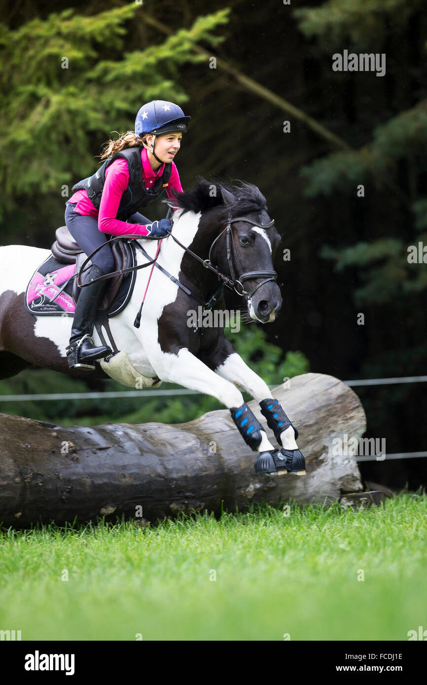 Poney Pinto. Fille sur un poney book la négociation d'un obstacle lors d'une ride. Allemagne Banque D'Images